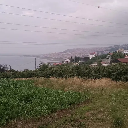 Orman Evi Tosun Trabzon