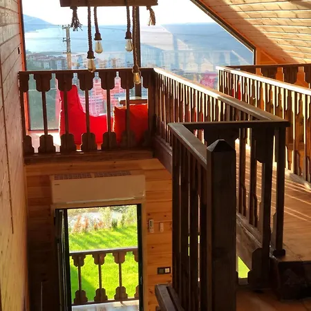 Tosun * Trabzon